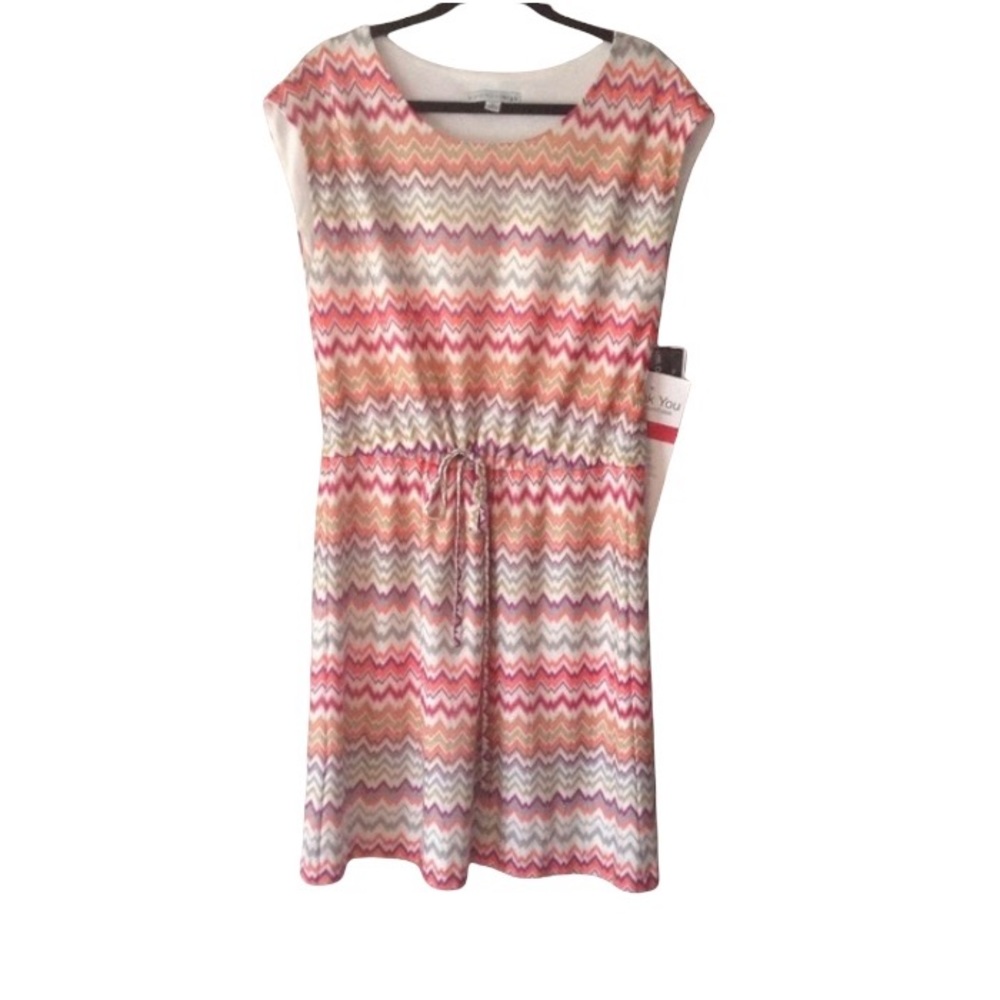NWT 🎉HOST PICK🎉 Chevron Dress